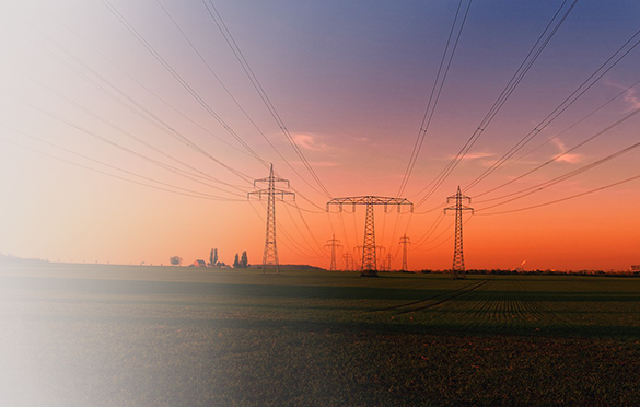Optimistic for Future Rate Reductions