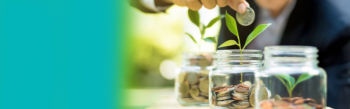 Article Banner: Investing into sustainability
