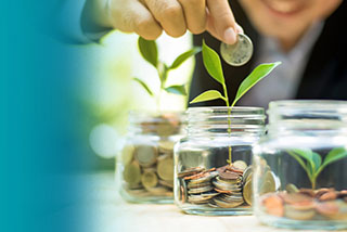 Article Banner: Investing into sustainability