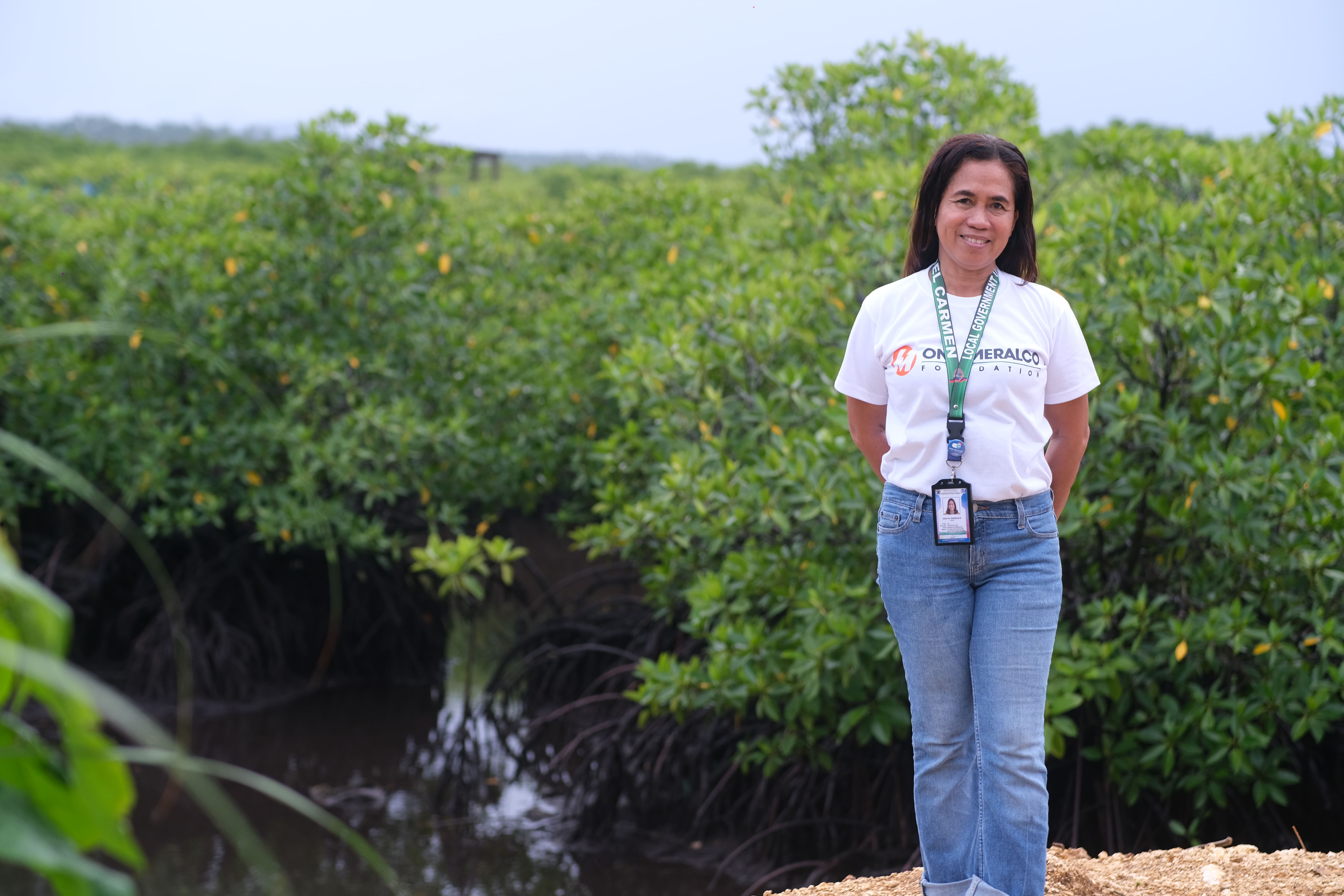 Preserving Mangrove Forests Across the Philippines