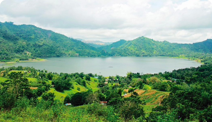 Forest Protection and Preservation