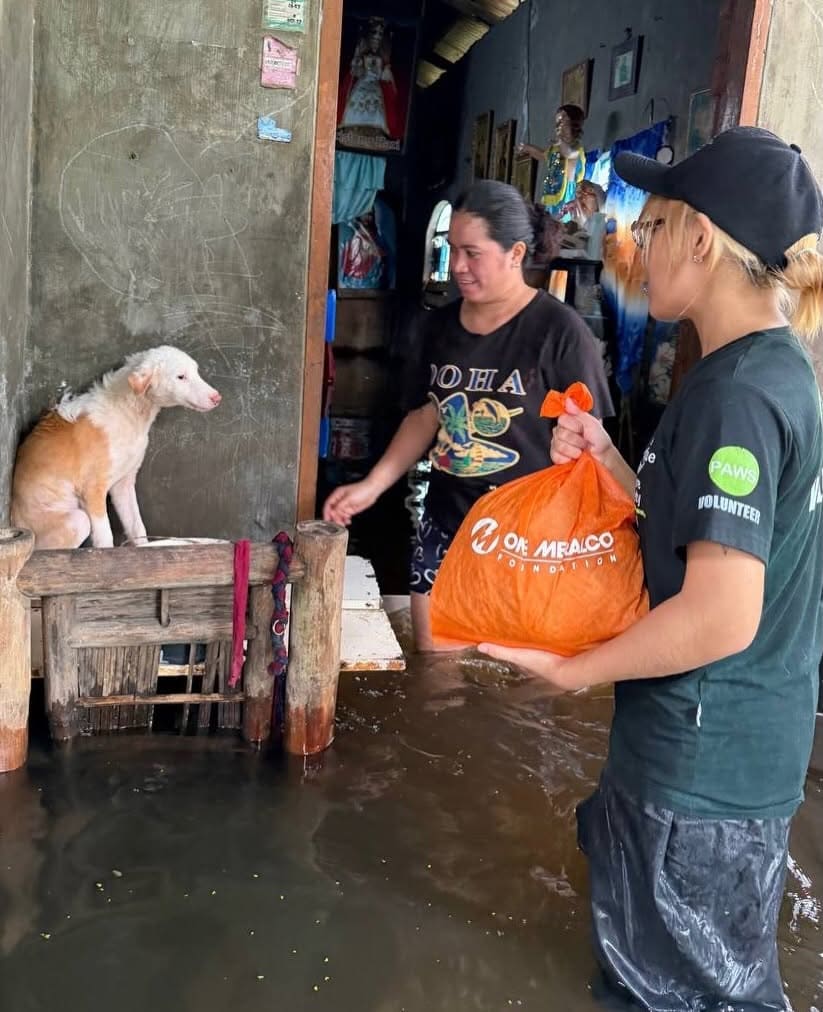 PAWS in Calumpit, Bulacan