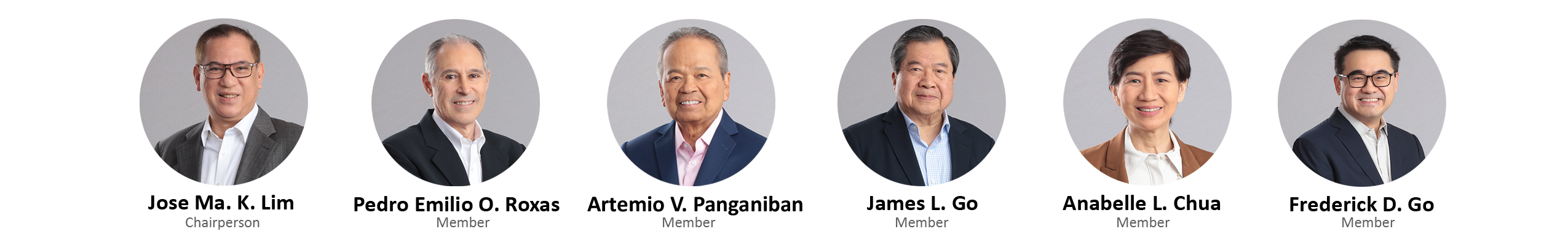 Risk Management Committee (RMC) 2020