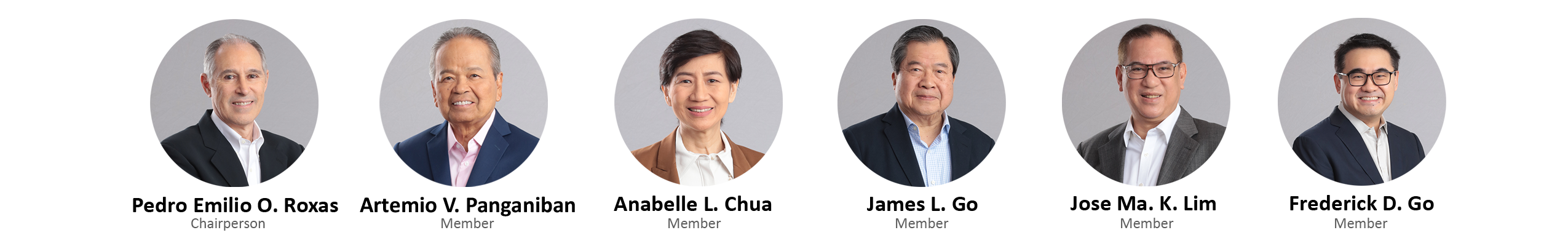 Related Party Transactions Committee (RPT Comm)
