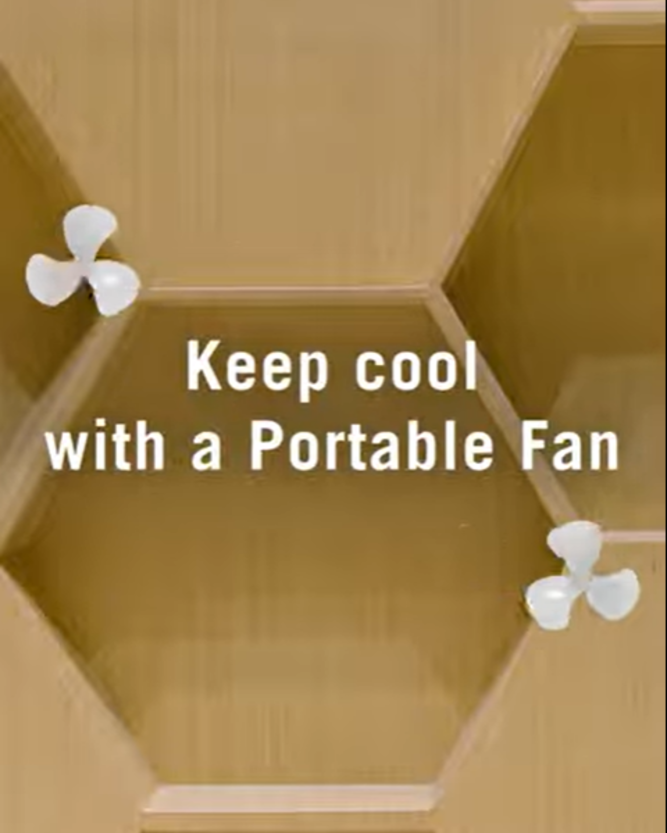 Keep Cool with a Portable Fan