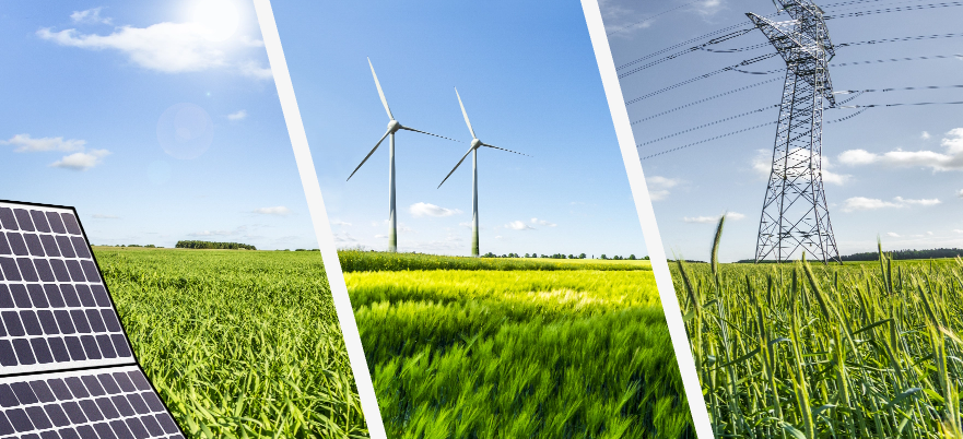 government_programs_desktop_basic